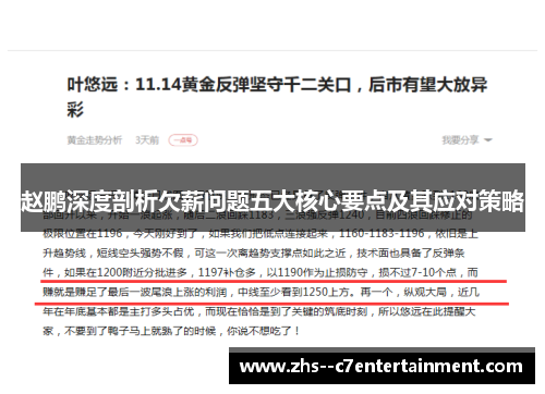 赵鹏深度剖析欠薪问题五大核心要点及其应对策略